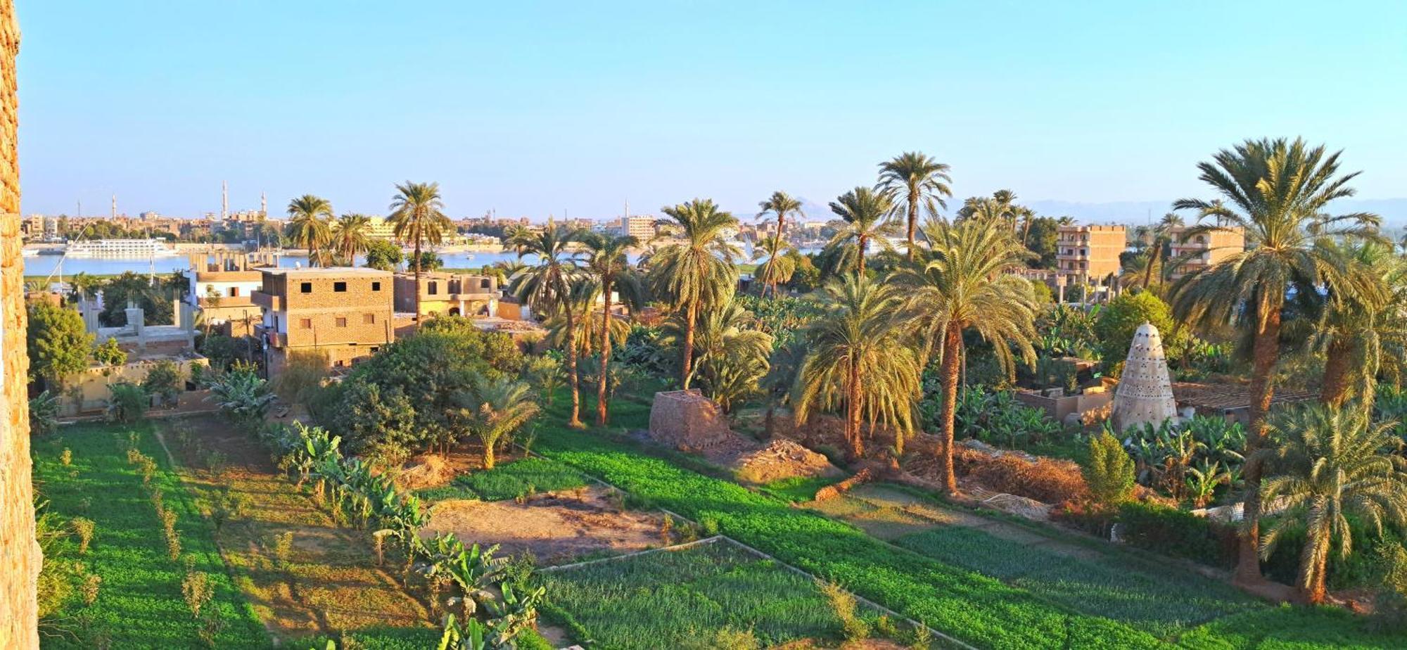 Blue Jorf Apartments Luxor Kültér fotó